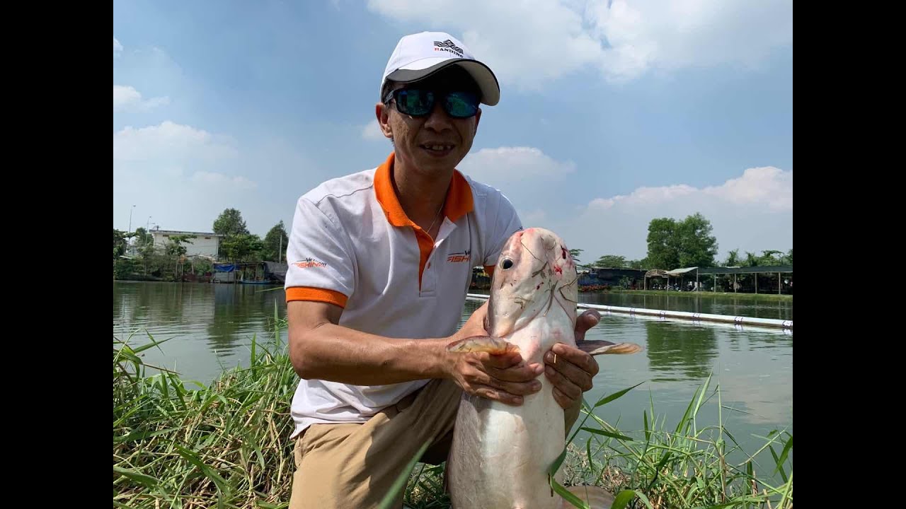 Cần câu tay Handing Shark kéo cá tra hơn 10 kg