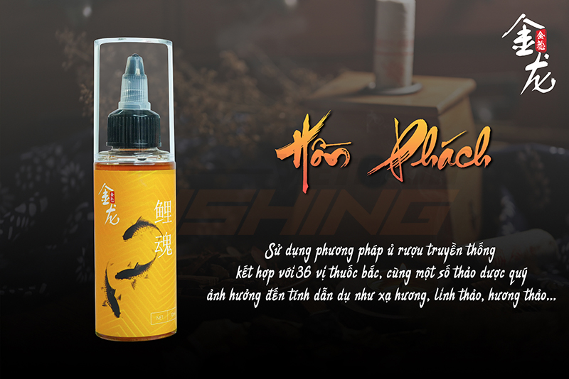 Chấn Thành Fishing