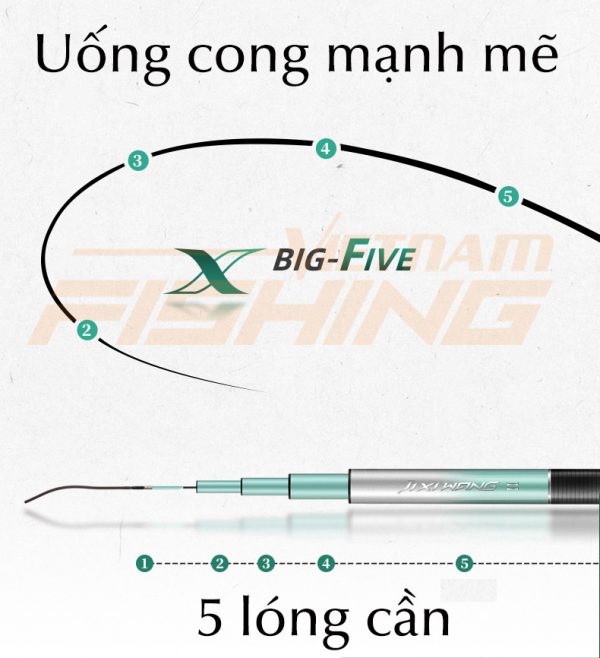 Chấn Thành Fishing