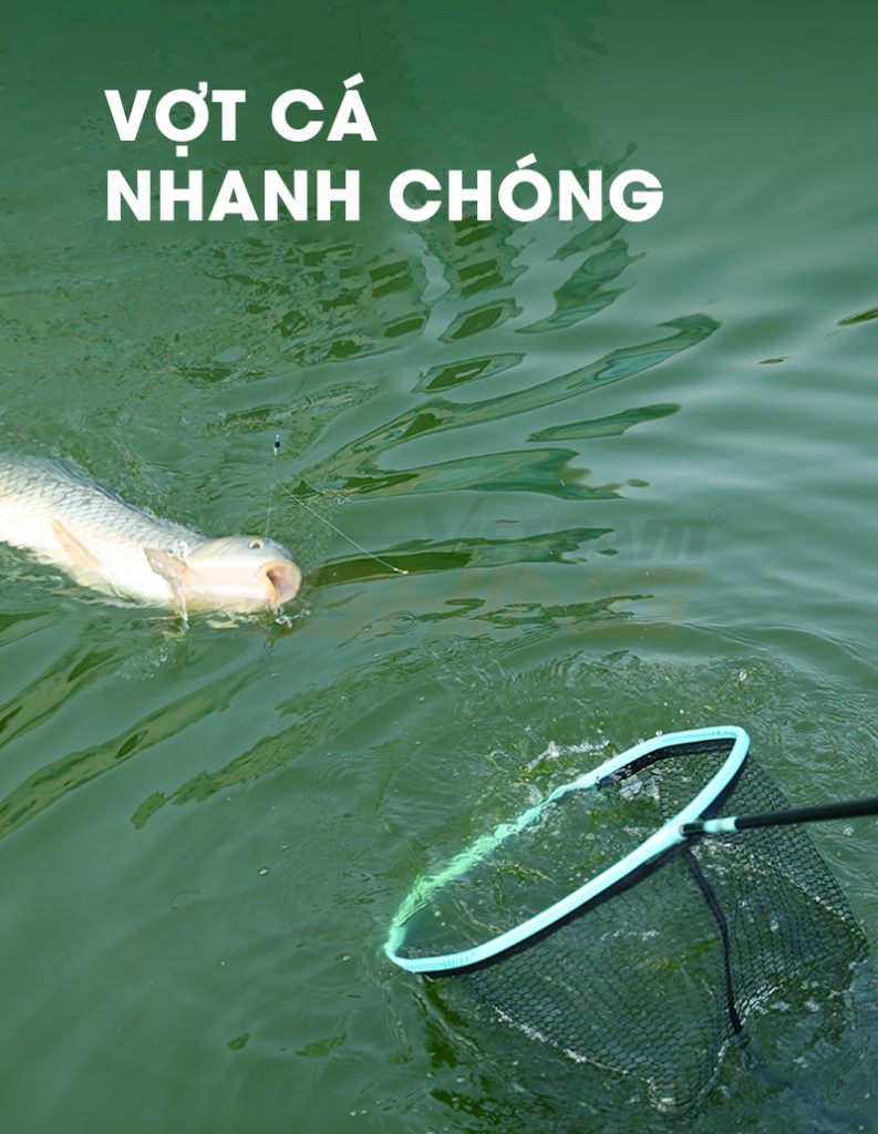 Chấn Thành Fishing