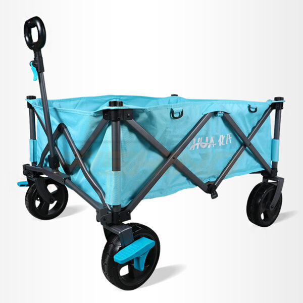 Chấn Thành Fishing