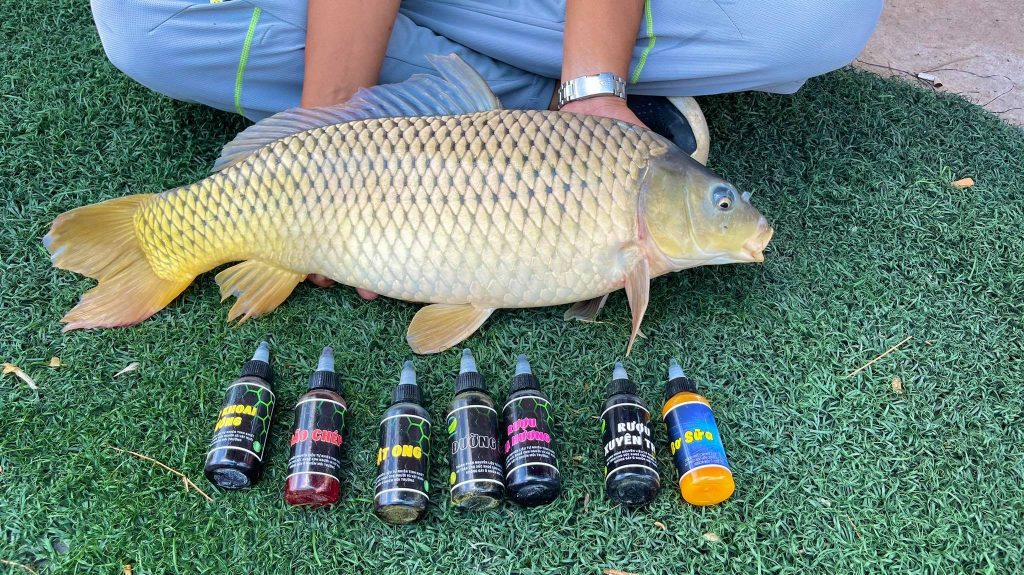 Chấn Thành Fishing