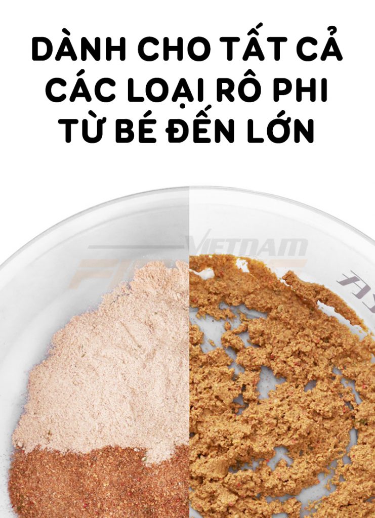 Chấn Thành Fishing