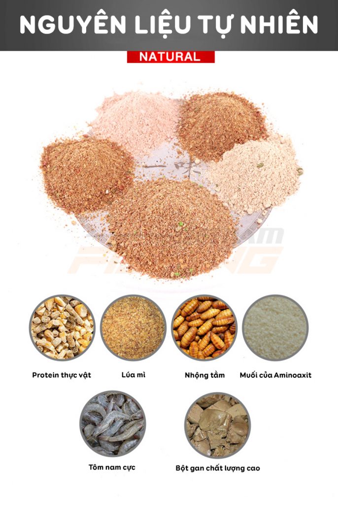 Chấn Thành Fishing