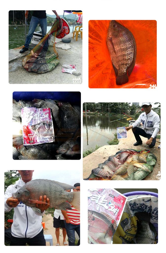 Chấn Thành Fishing