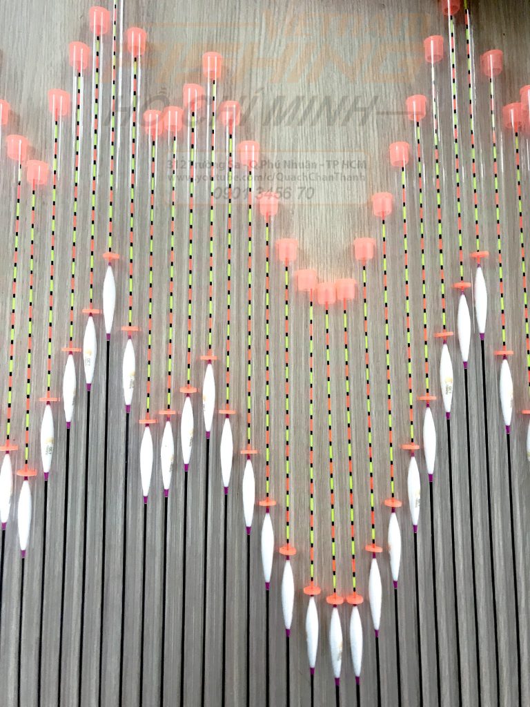 Chấn Thành Fishing