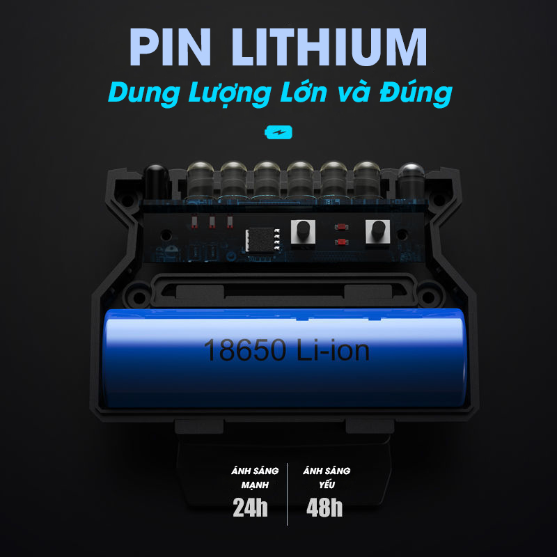 Chấn Thành Fishing